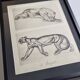 Illustrated plate – studies of feline and bear – Signed André Margat, 1930