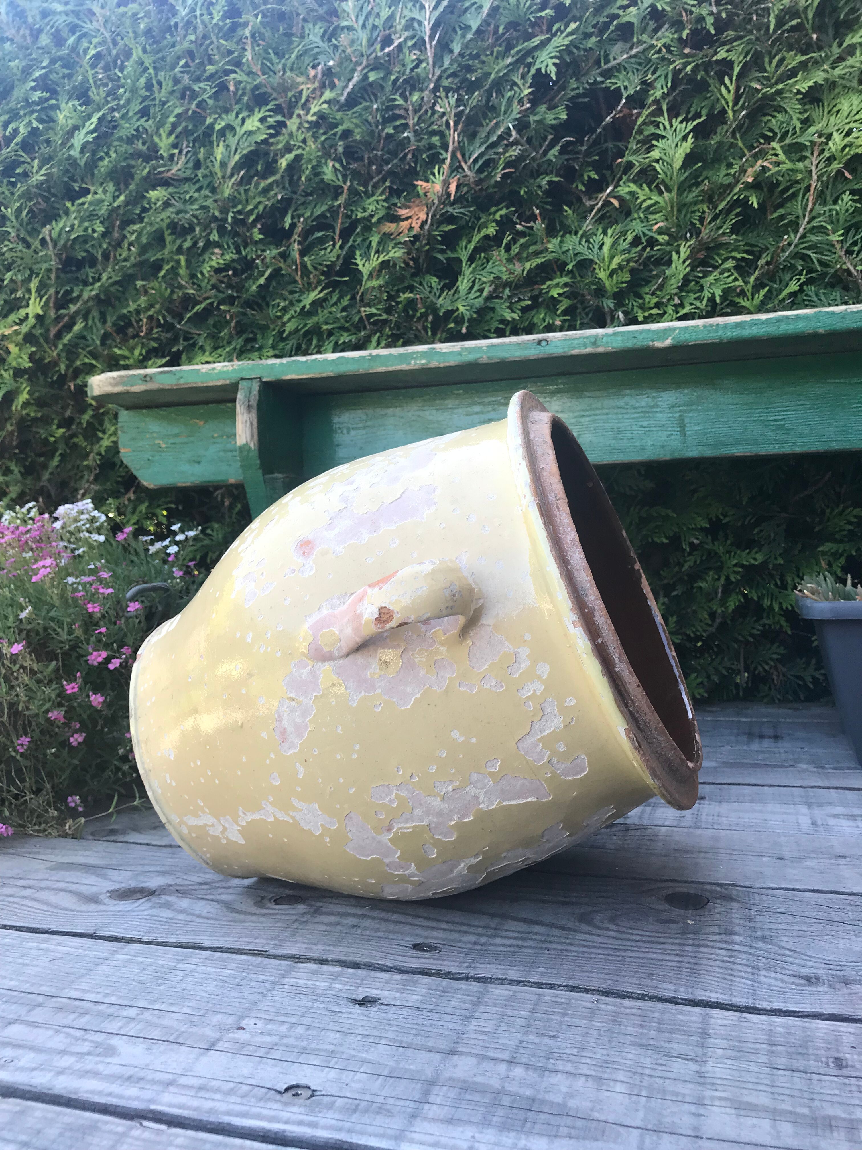 Old ceramic pot