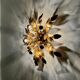 Floral Hollywood Regency Wall or Ceiling Lamp