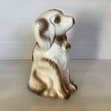 Piggy bank to break dog