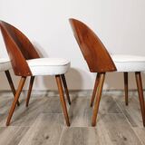 Dining Chairs by Antonin Suman, 1960s, Set of 4