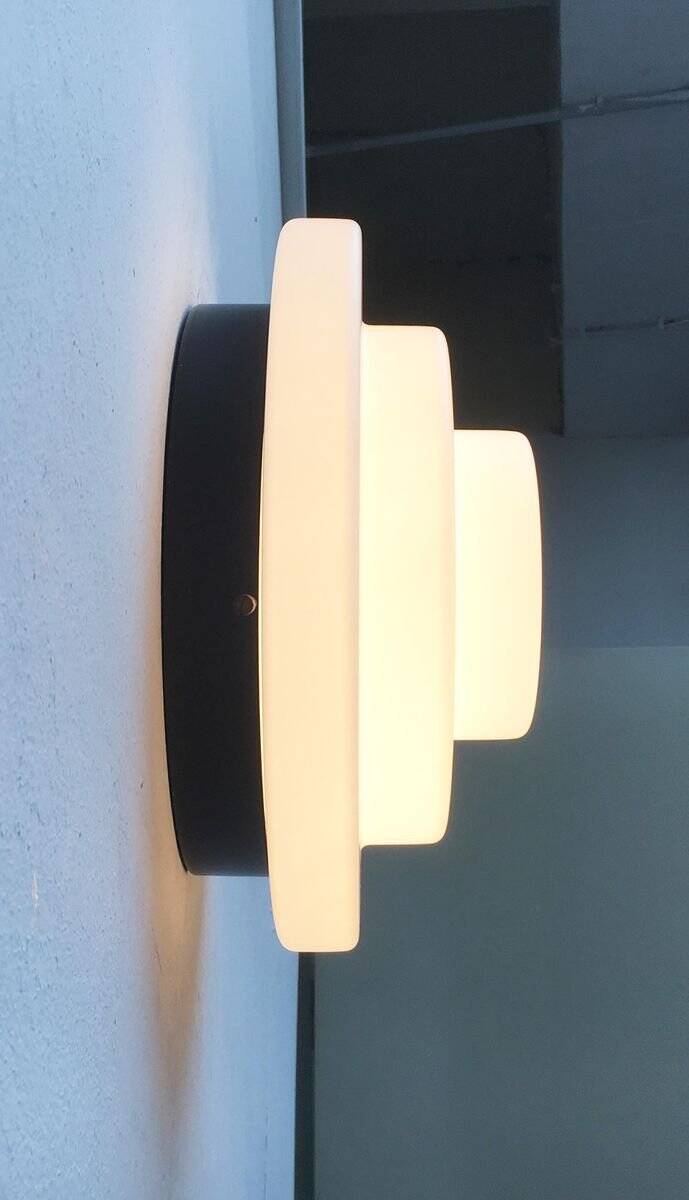 Mid-century Dutch ceiling or wall lamps by Raak, set of 2