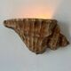 Pair of vintage terracotta shell wall lights