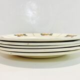 Plates charcoal-salt, nymphea, terre de fer