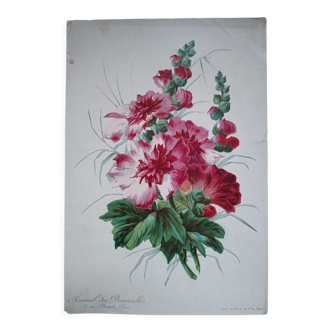 Lithograph Hollyhocks