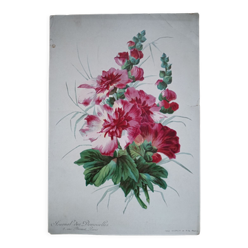 Lithograph Hollyhocks