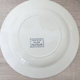 Iron Earth Plate