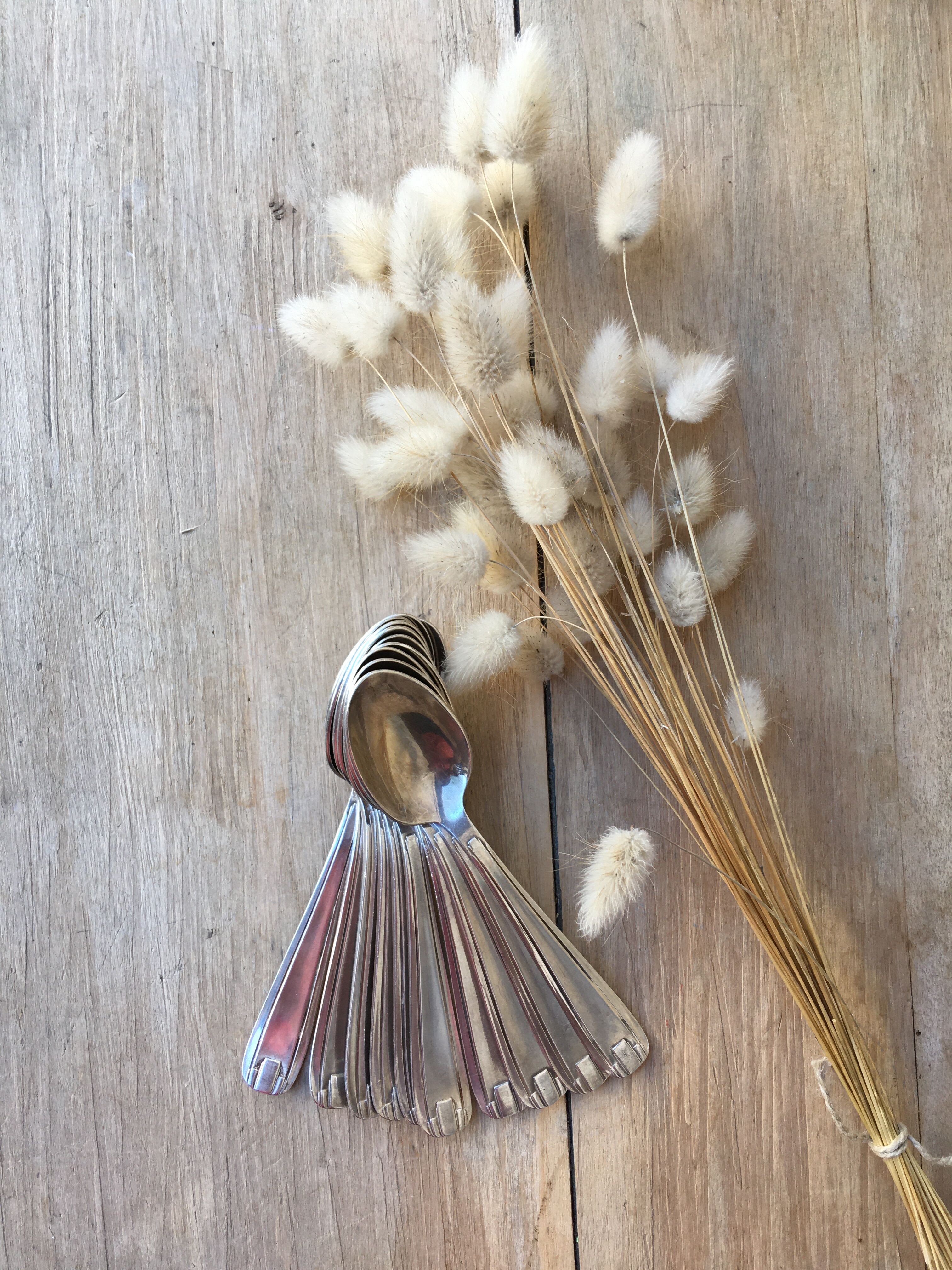 10 silver metal spoons art deco style