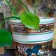 XXL ceramic planter from Saint-Pair-Sur-Mer from the NEUSTRICER earthenware factory, 1960s