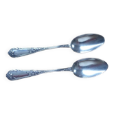 2 petites cuillères en métal blanc