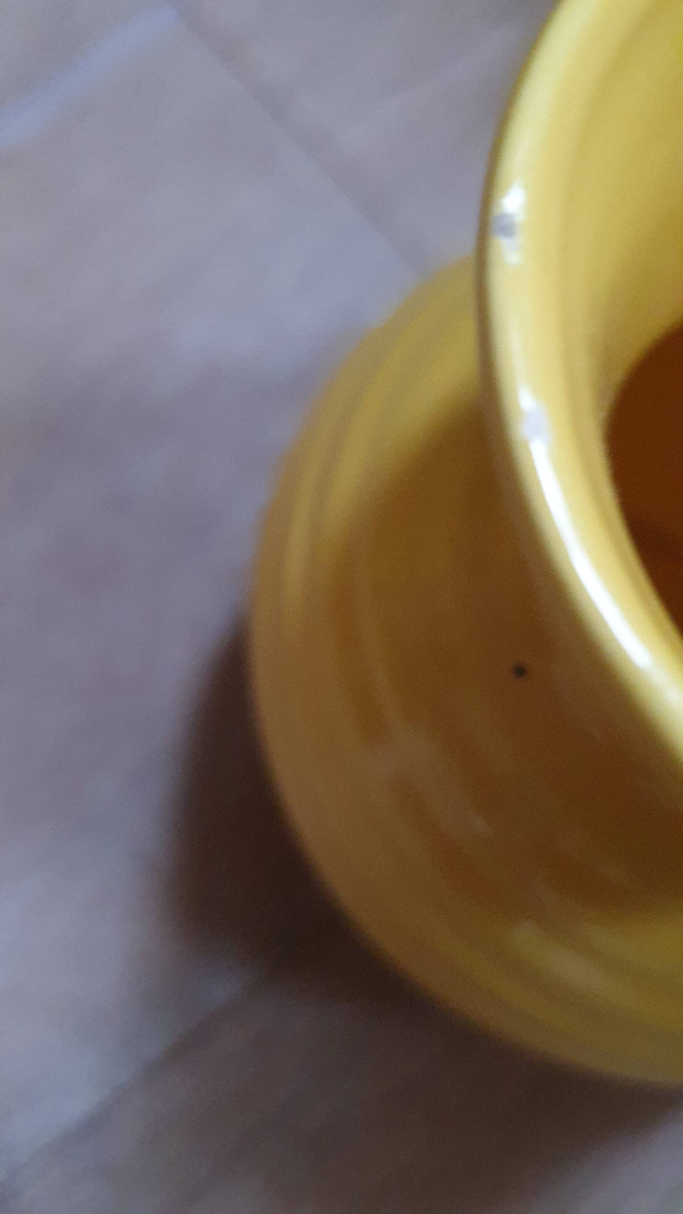 Poët Laval yellow curry porcelain ball vase- LPR22055