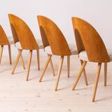 Set of 8 midcentury dining chairs by a.šuman, customizable upholstery available