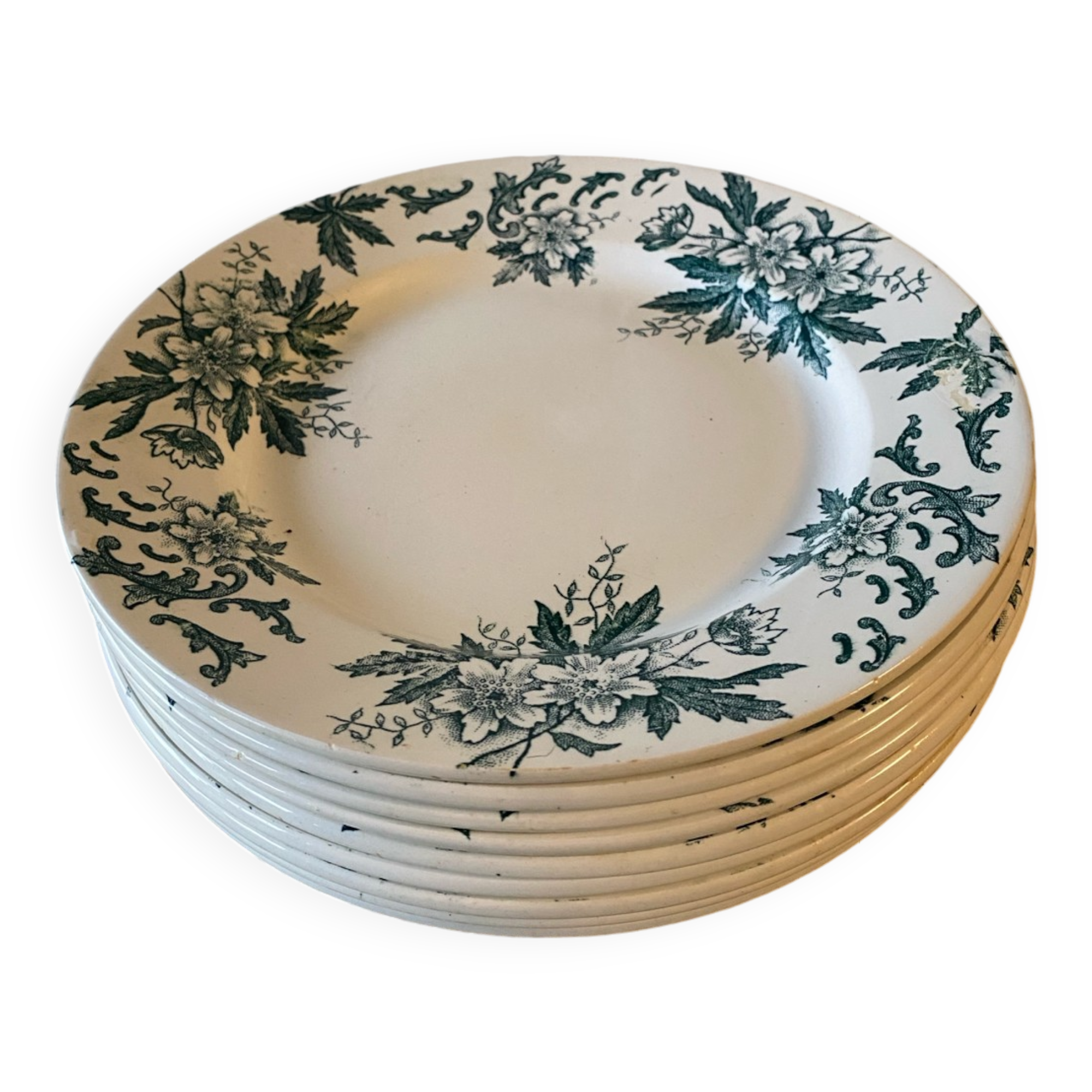 Assiettes terre de fer saint Amand