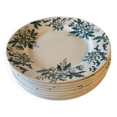 Assiettes terre de fer saint Amand