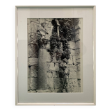 Large black and white silver photograph from the 20th century