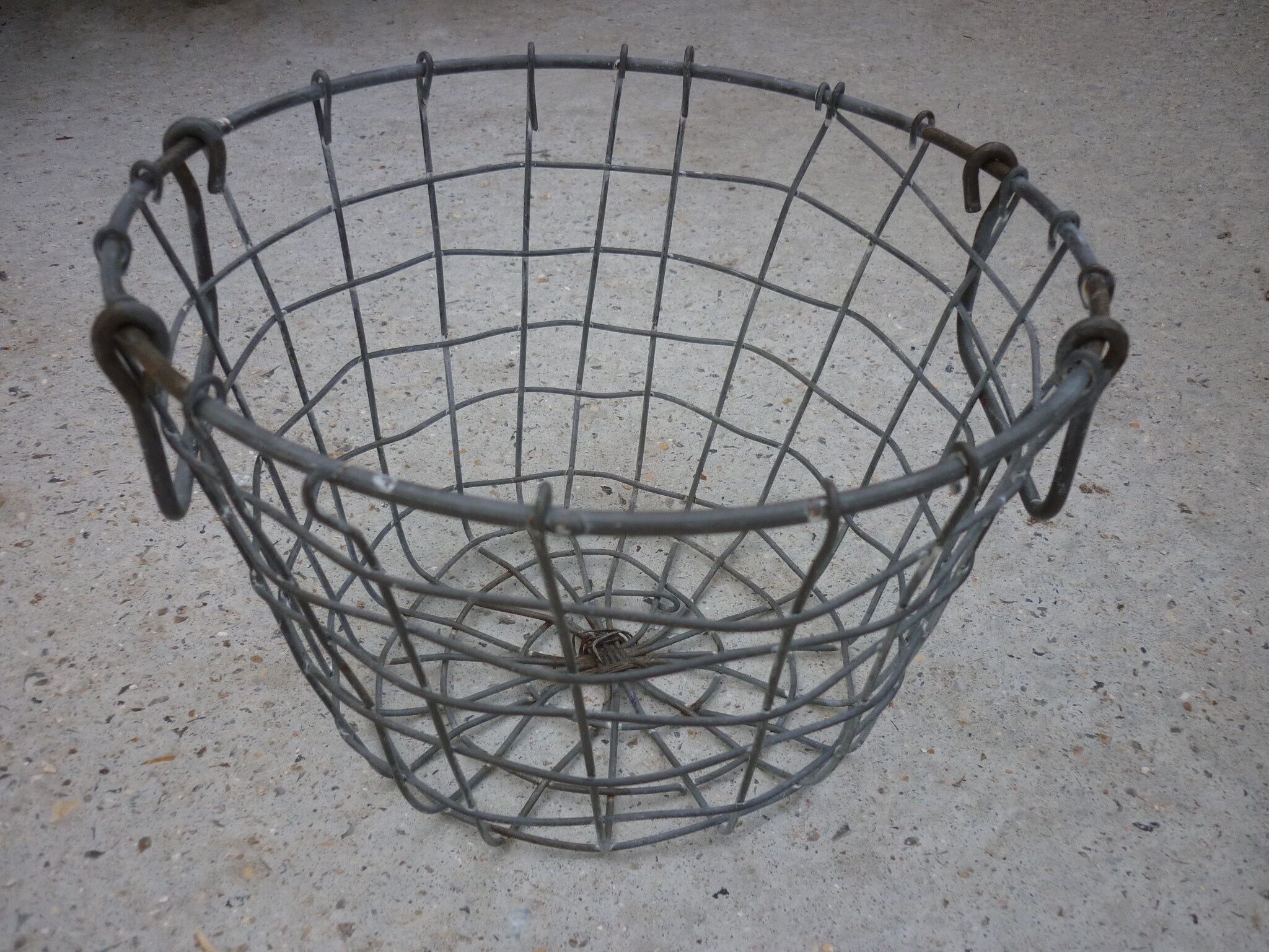 Metal harvest basket with 2 handles