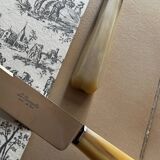 Meat cutting set