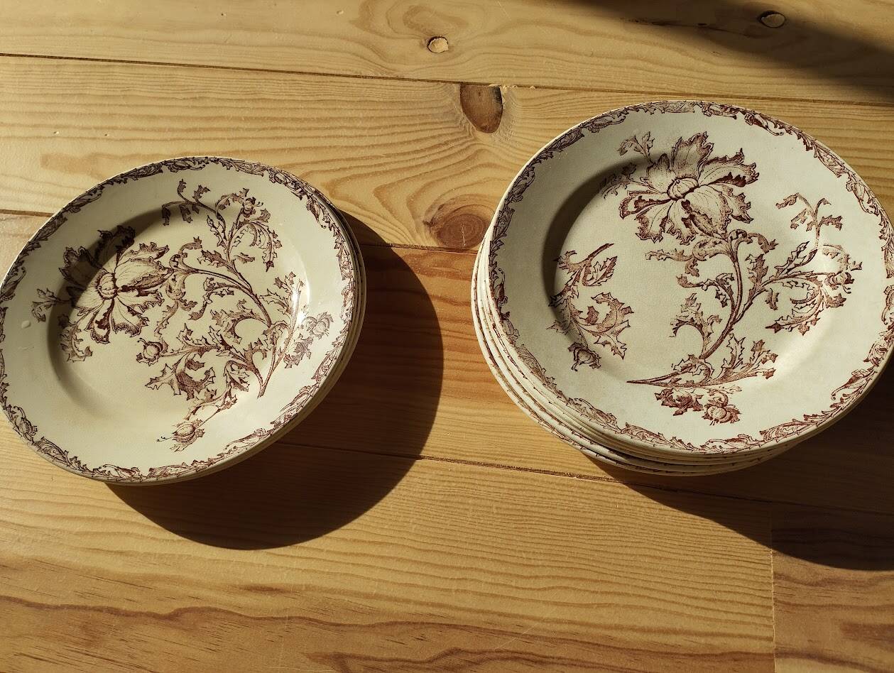 Datura plates iron earth