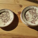 Datura plates iron earth