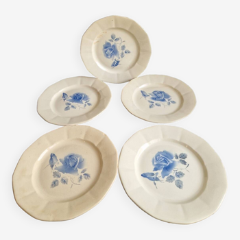 Ensemble de 5 assiettes plates Digoin Sarreguemines décors de roses bleues