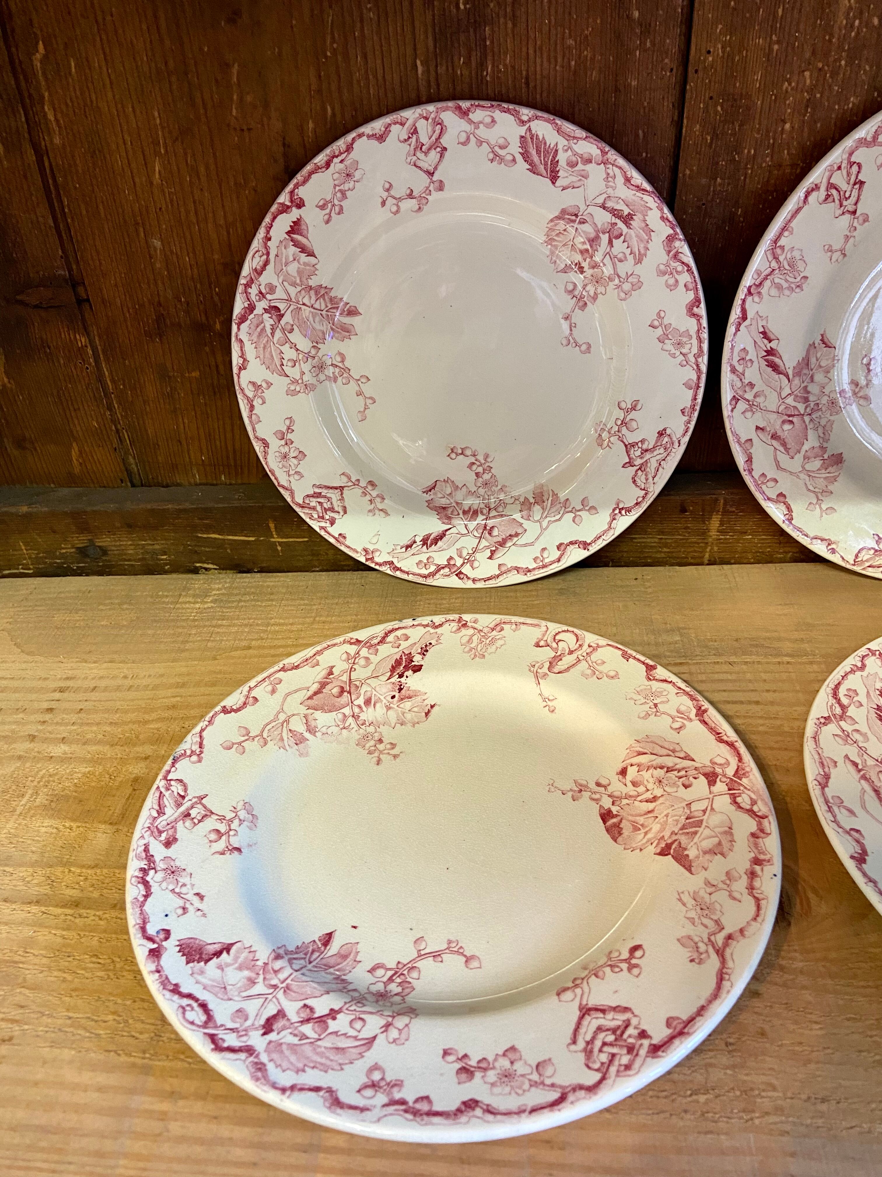 10 plates Terre de Fer Rouge