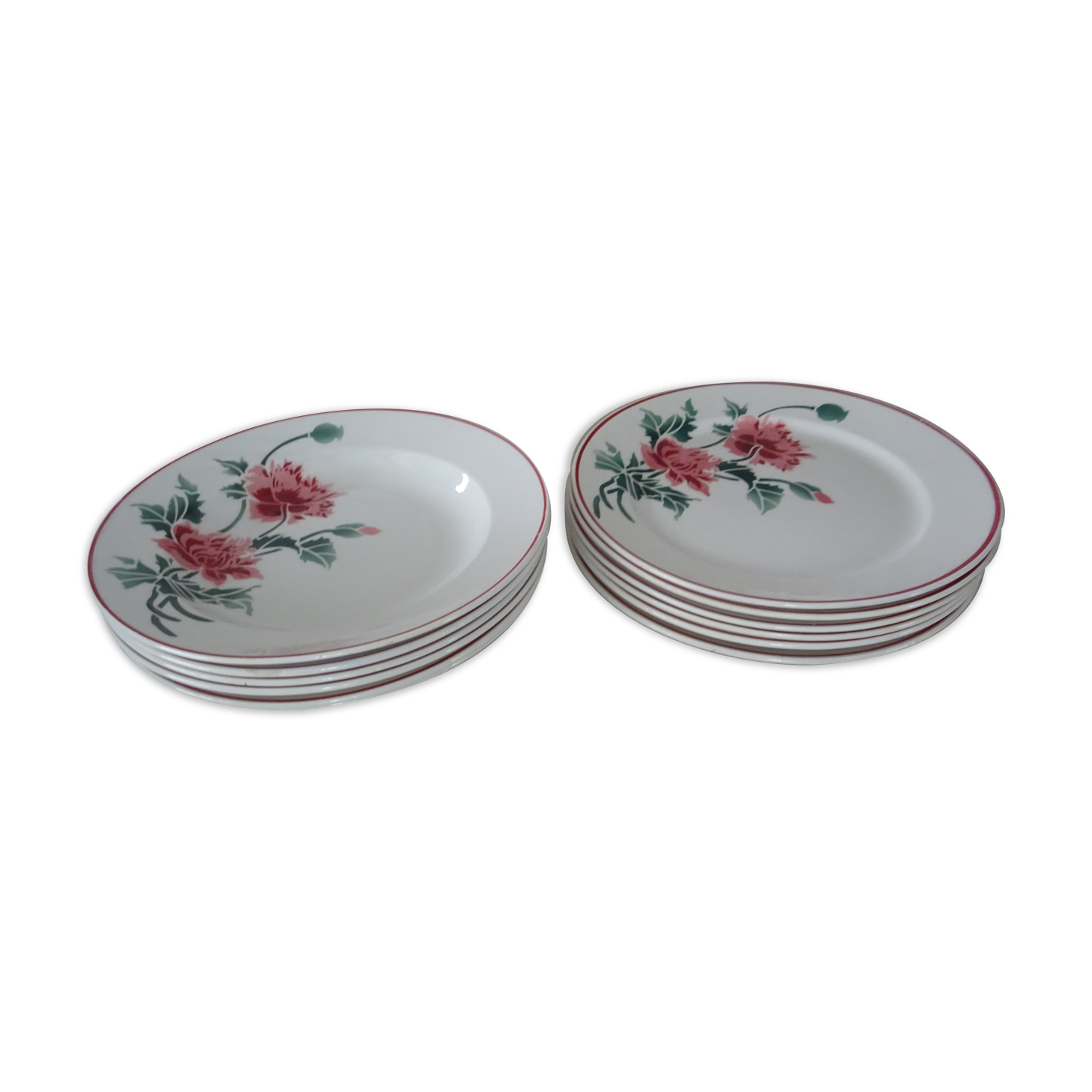 12 plates old flat and hollow HBCM Creil Montereau Luxeuil carnations