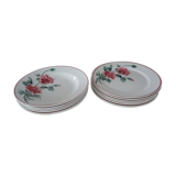 12 plates old flat and hollow HBCM Creil Montereau Luxeuil carnations