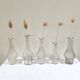 Set of 5 glass apothecary vials