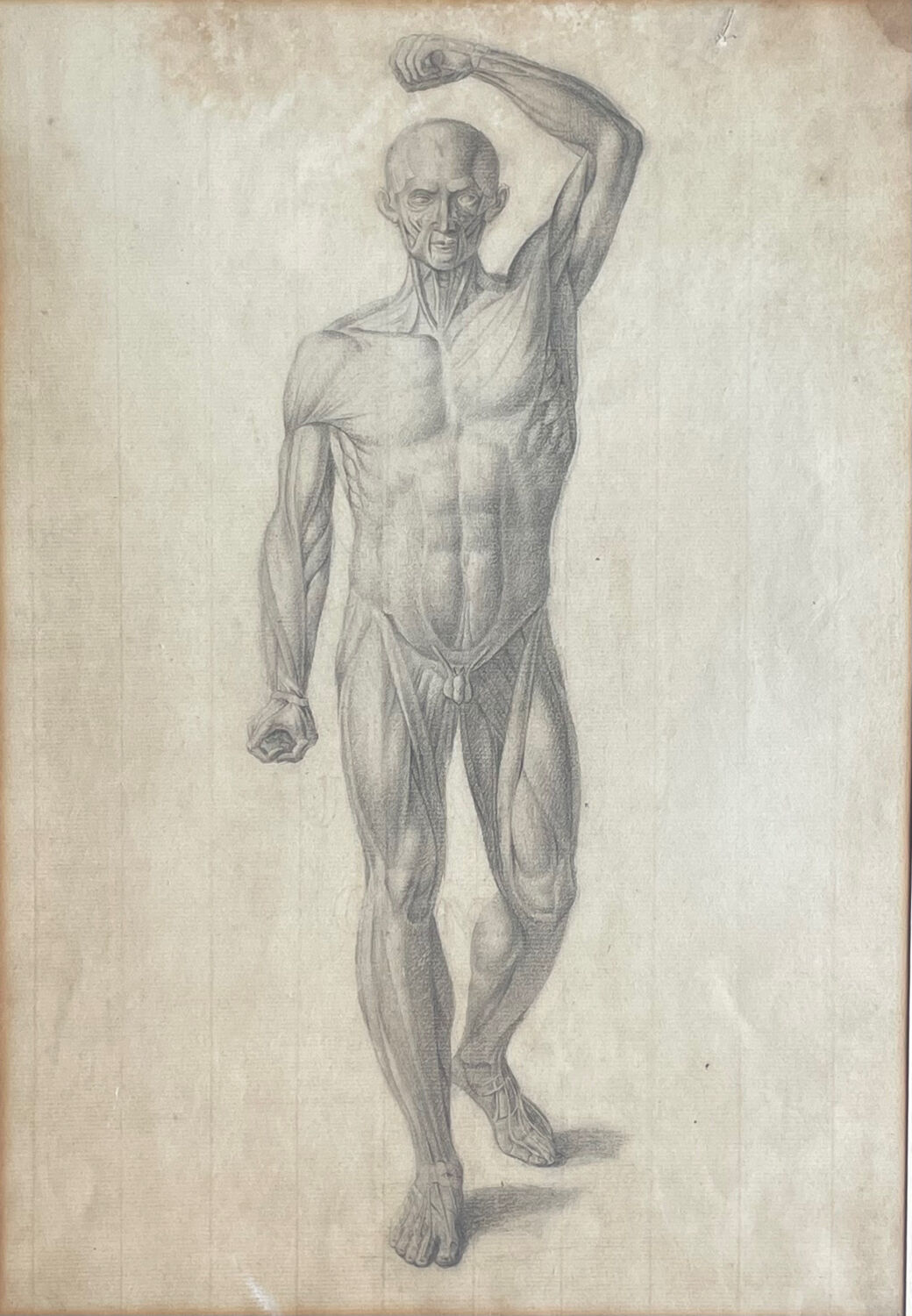 Tableau dessin ancien homme écorché Anatomie XVIIIe