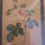 Pink botanical board