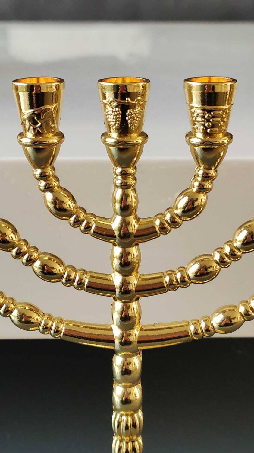 Menorah/Jewish/Hebrew candlestick with 7 arms of light. Engraved with the symbols of the 12 tribes of Israel/Holyland inscription. In gold metal. Size 20 x 16 cm
