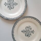 Lot de 6 assiettes salins
