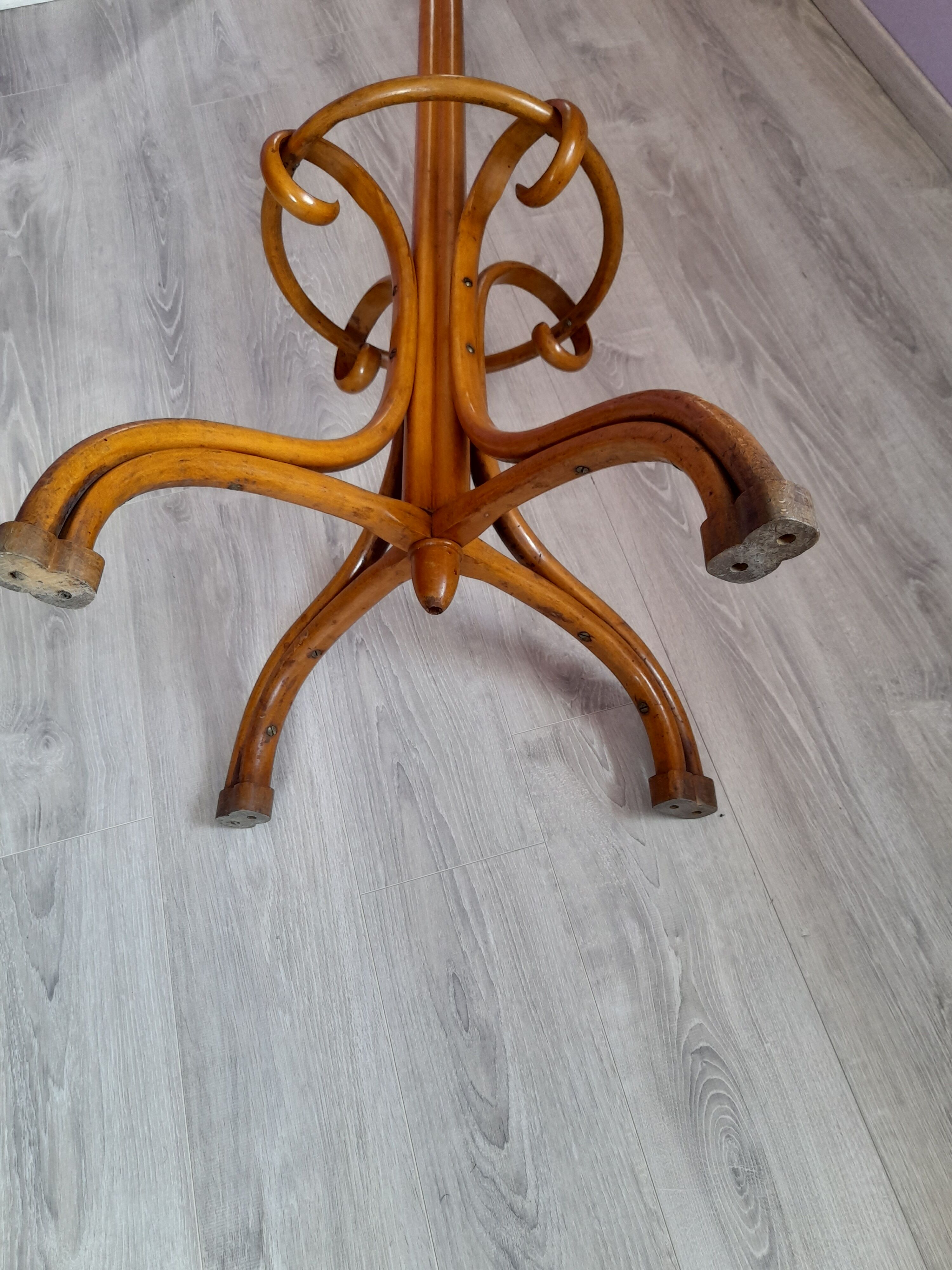 Coat rack called parrot