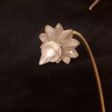 Pair sconces metal dore décor stars Lunel vintage 1950