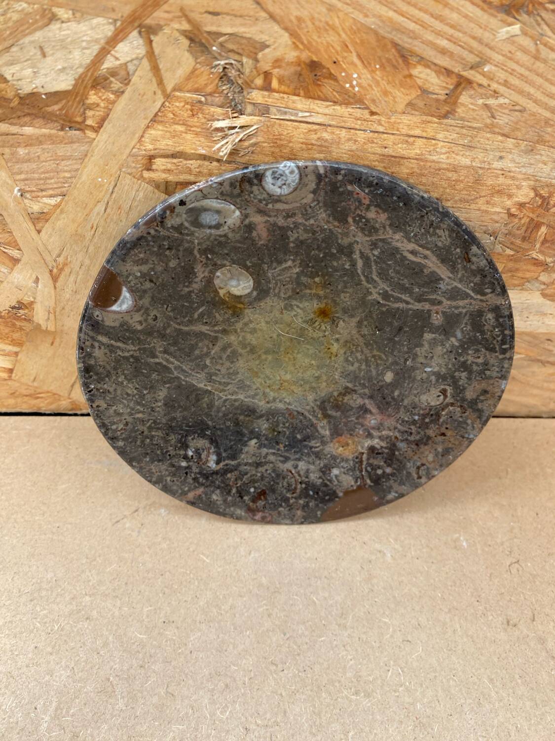 Antique Vintage Fossilized Marble Plate Tray