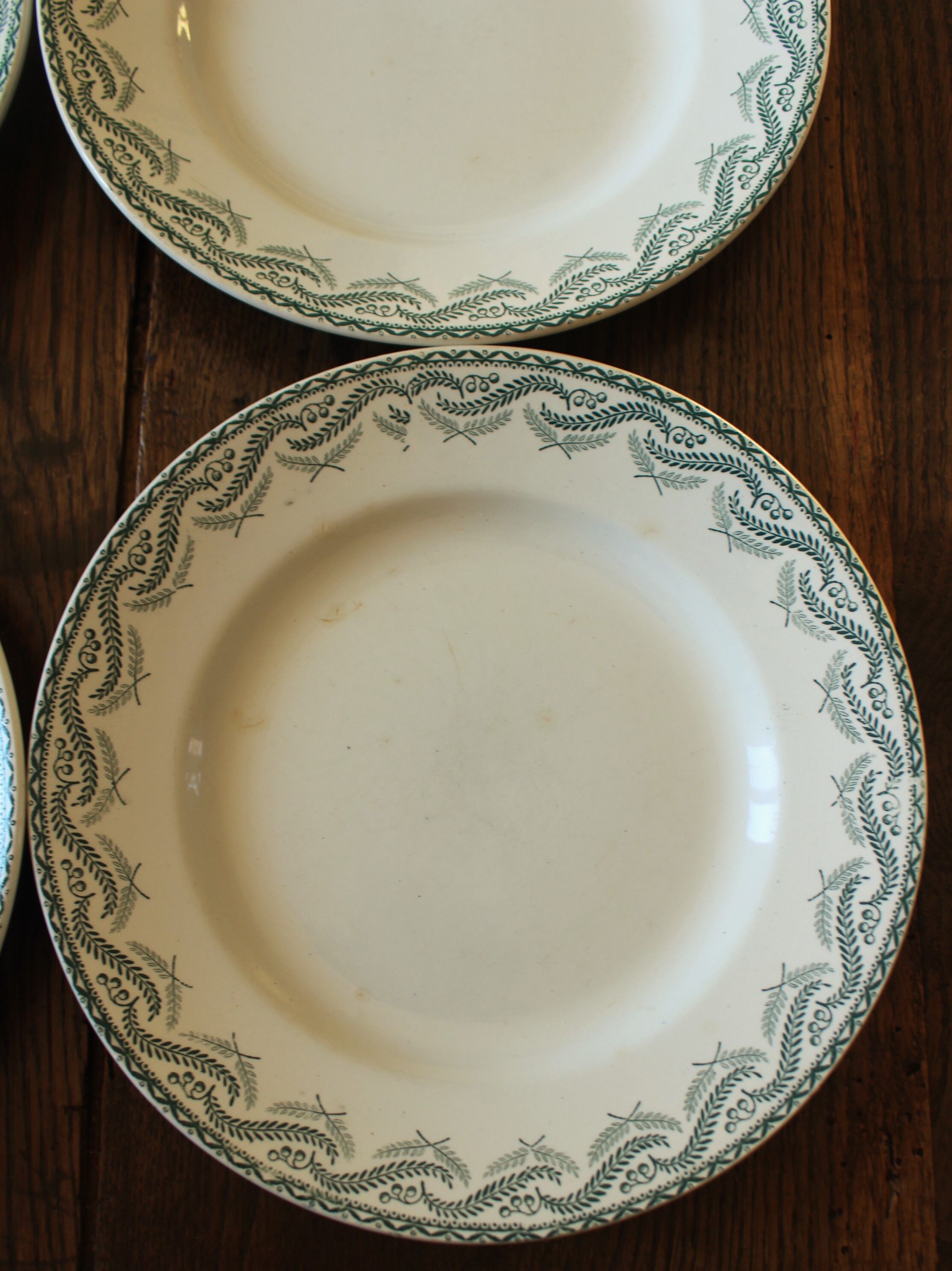 Lot 4 assiettes plates vert feuillage Réjane Saint Amand