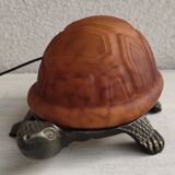 Night light turtle to pose