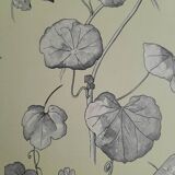 Botanical plate
