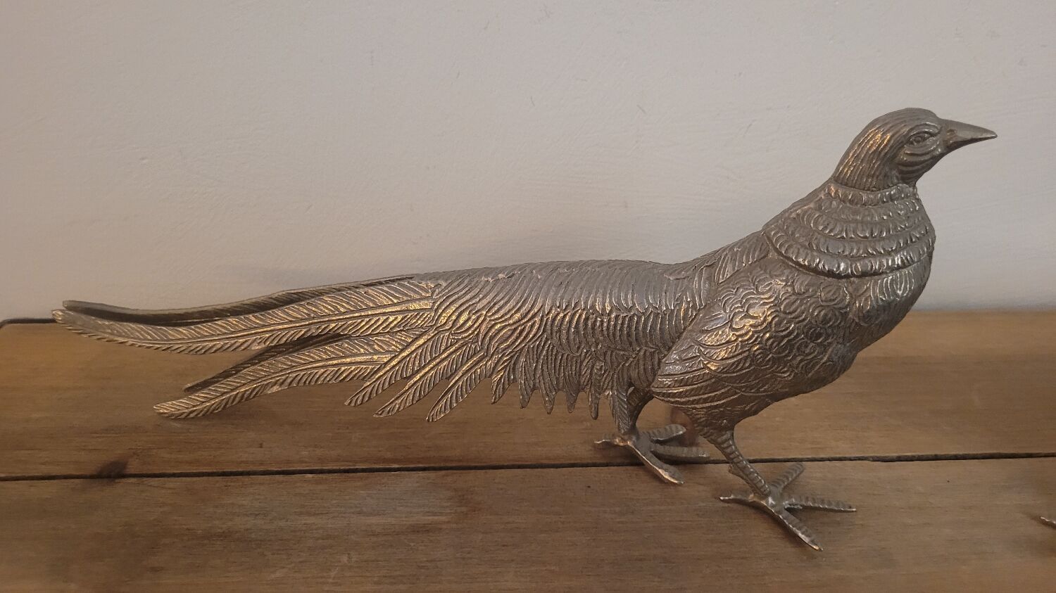 Couple of pheasant roosters