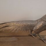 Couple of pheasant roosters