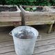 Vintage zinc bucket