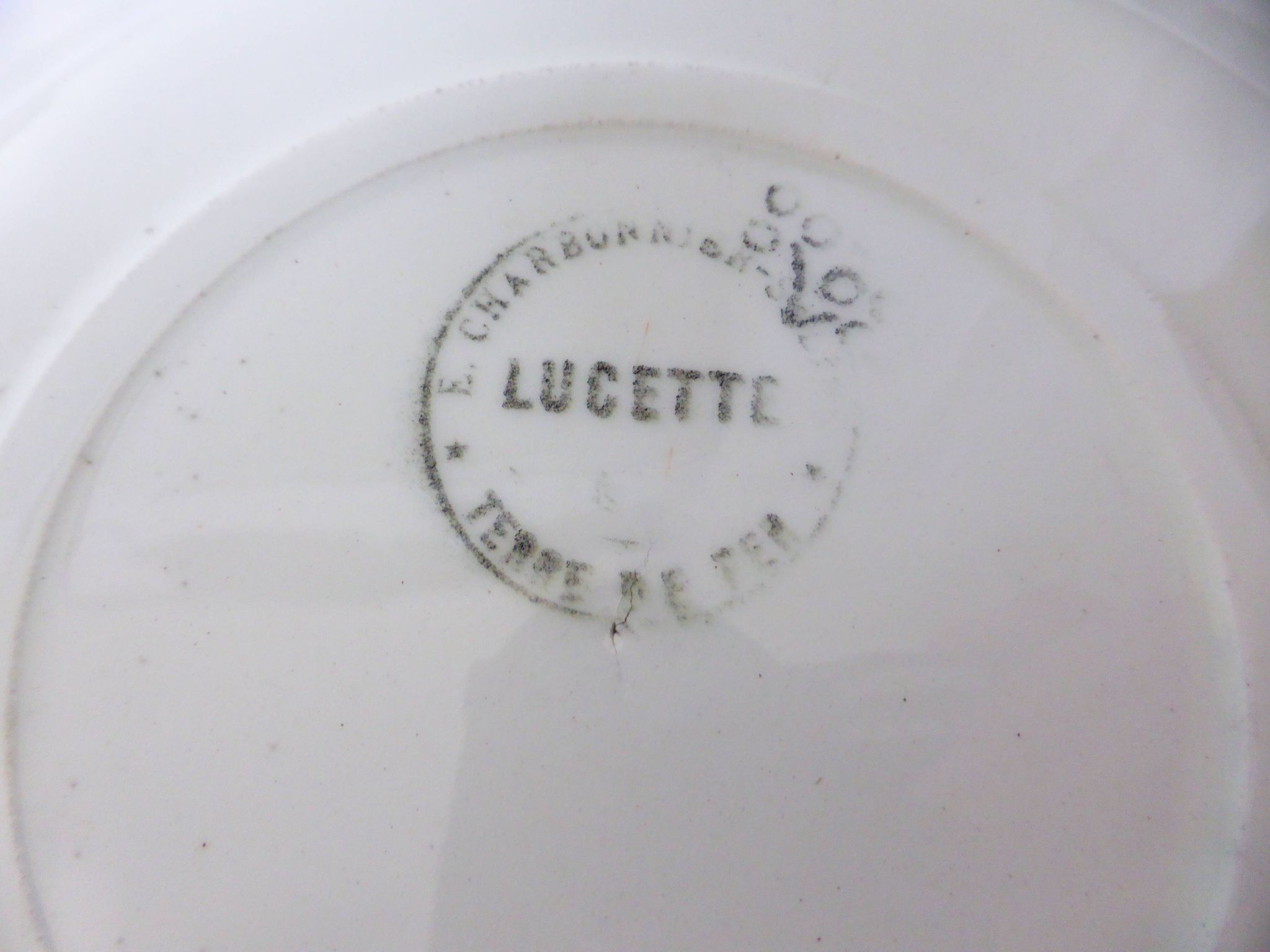 4 semi-hollow plates in iron earth of the Salins model Lucette 210855