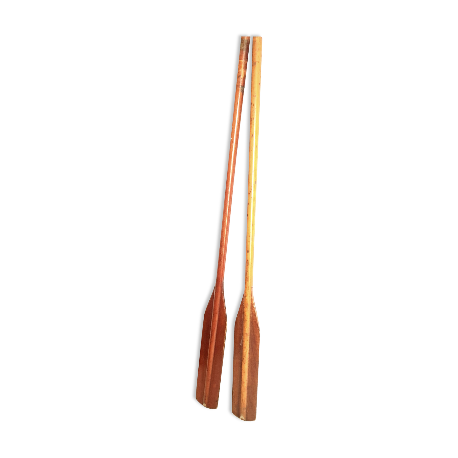 Vintage old oars pair