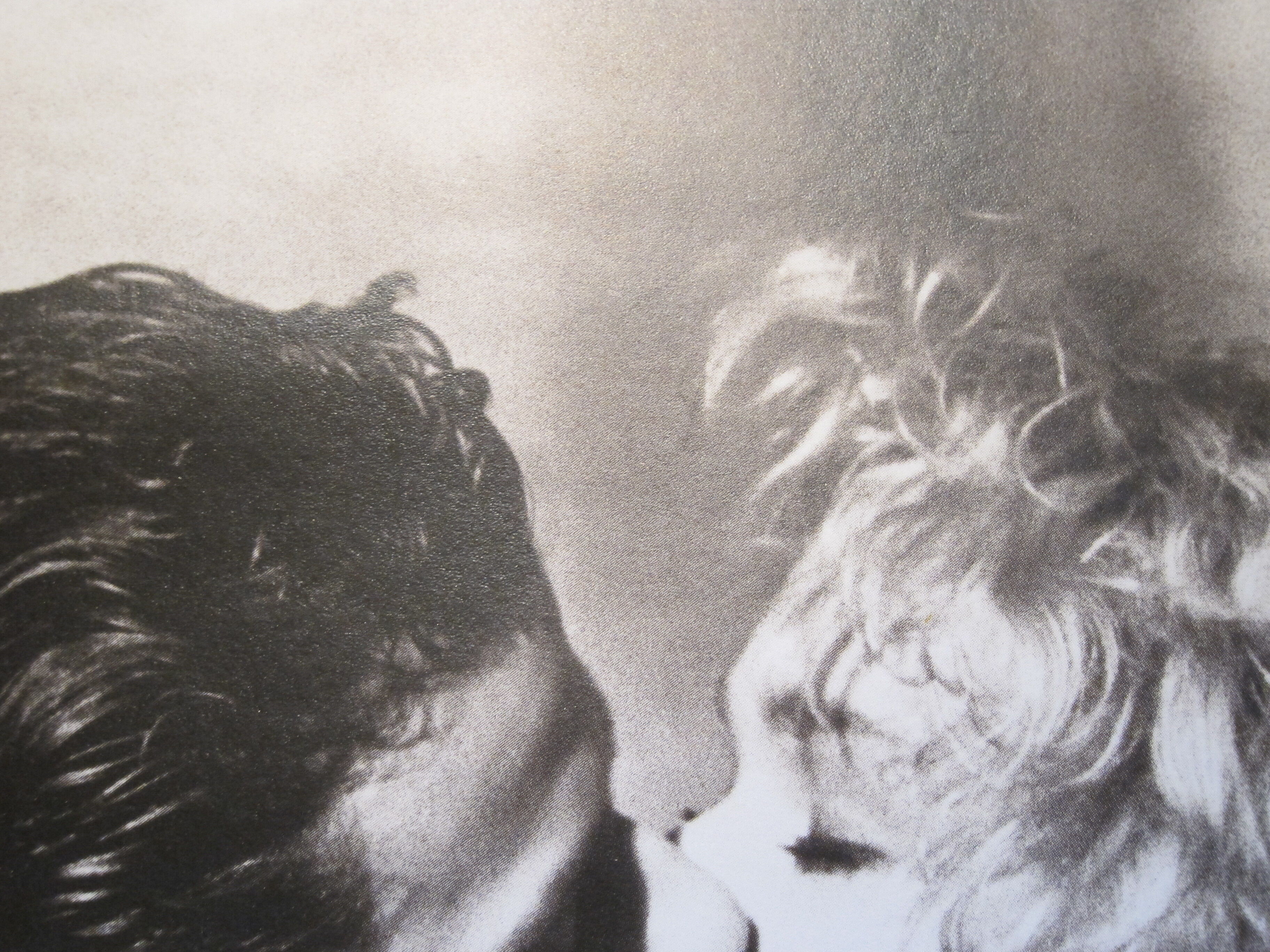 Photo encadrée reproduction Bertram Bahner Verkerke 1988