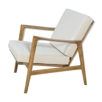 Model 300-139 armchair from Swarzędz Factory, 1960s