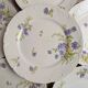 Set of 12 dessert plates in Limoges porcelain GDA France – floral design