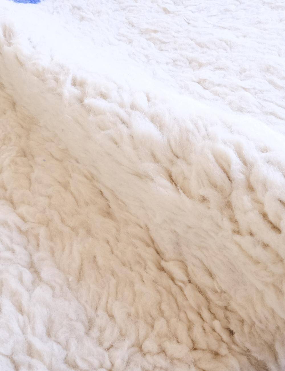 Blue and White Berber Rug - 345 x 252 cm