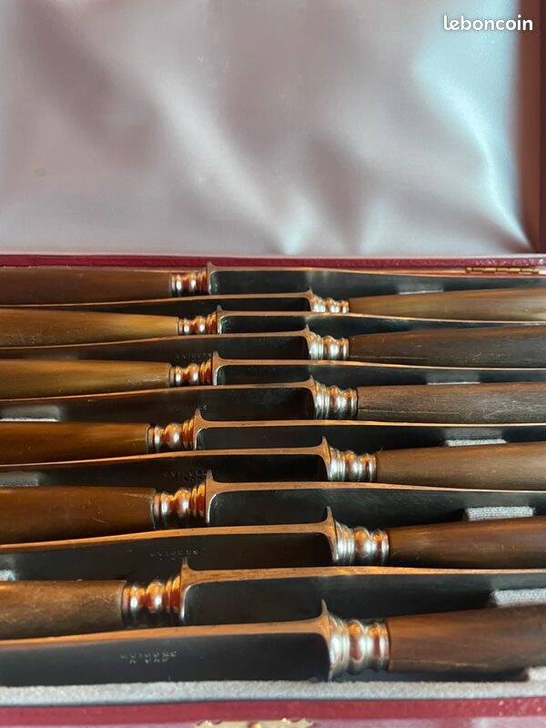 Coffret 12 couteaux de table fin 19 ème en corne