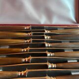 Box of 12 fine table knives from the late 19th century in horn.
