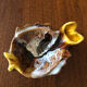 Small Vallauris style fish ashtray